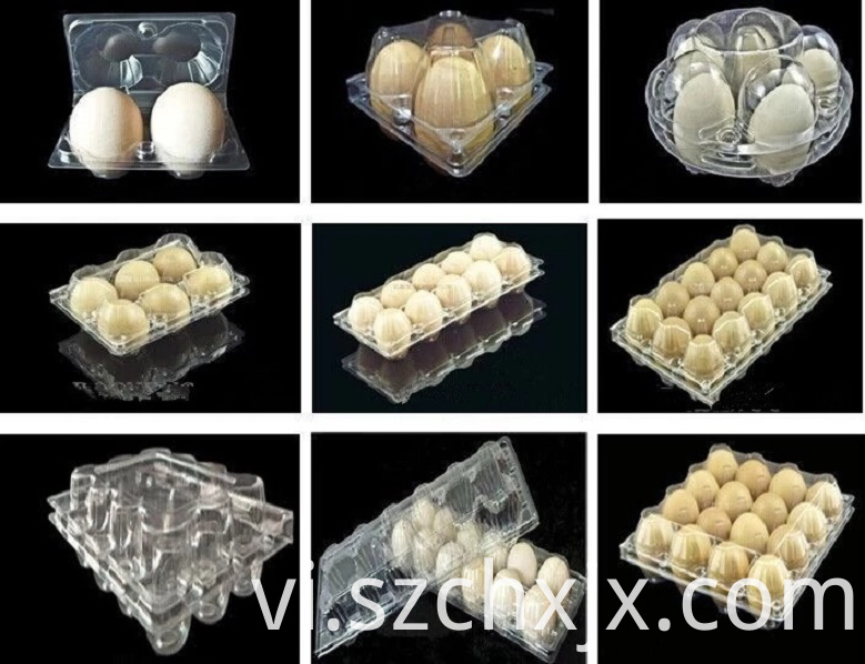 Tạo mẫu Forming samples